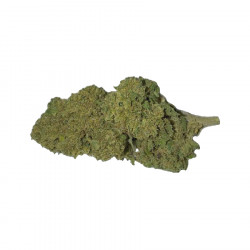 Imagen de CBD Big Dream Super Skunk Glasshouse (5g)