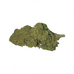 Imagenes CBD Big Dream Cannatonic Premium (4g)