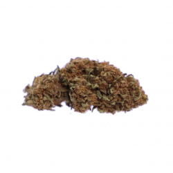 CBD BIGDREAM Matanuska Hydro