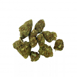 CBD BIGDREAM Water Melon...