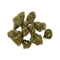 Gelato Premium Small Bud 5g