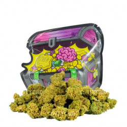 OnlyCBD Mini Brains 10gr