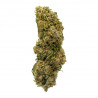 HiiCBD Banana Smash GH 5gr 17%CBD