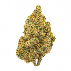 HiiCBD Bubblegum Hydro 3gr...