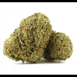 HiiCBD Don Perignon 5gr 15%CBD