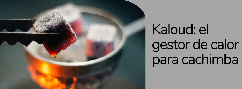 Kaloud: El Gestor de Calor Cachimba para Nubes y Sabor Perfecto
