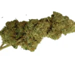 Rosen (Rosenthal) 60% HPC Big Dream CBD 4gr