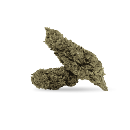 HiiCBD White Frost GH A+ CBD 5 gr 15D